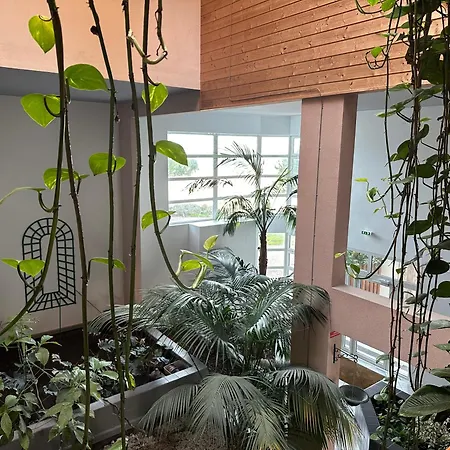 Lili, Cosy Et Elegant, Wifi, Terrasse Vue Sur La Rochelle (Charente-Maritime)